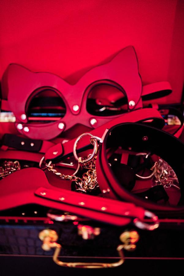 Love Room Donjon Dol In Love Bdsm Доль-де-Бретань Екстер'єр фото